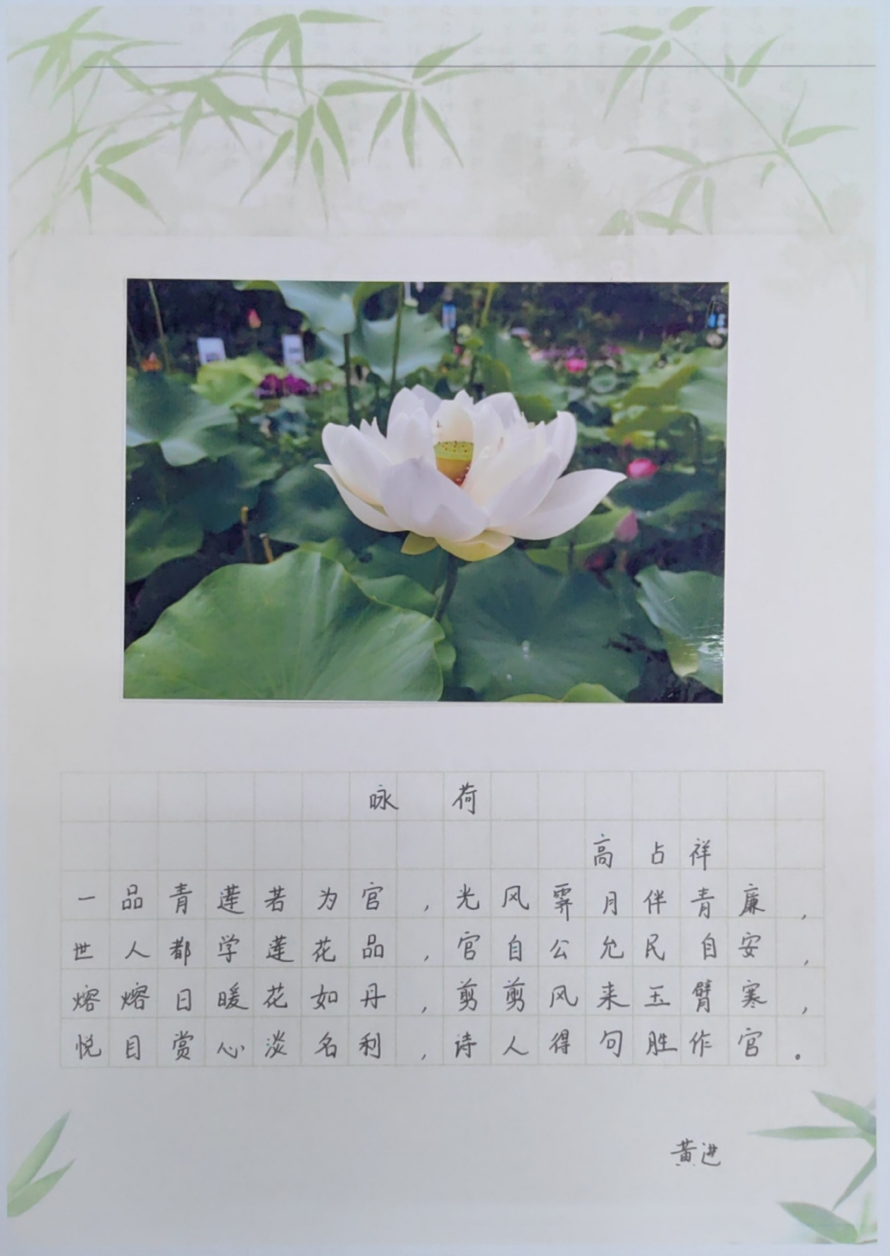 图片24.png